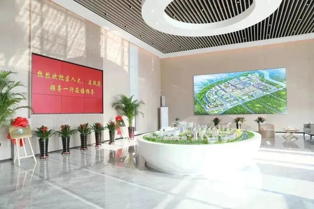 龍港區(qū)人大、區(qū)政府領(lǐng)導(dǎo)一行視察調(diào)研龍港國(guó)際醫(yī)療健康產(chǎn)業(yè)園(圖2)